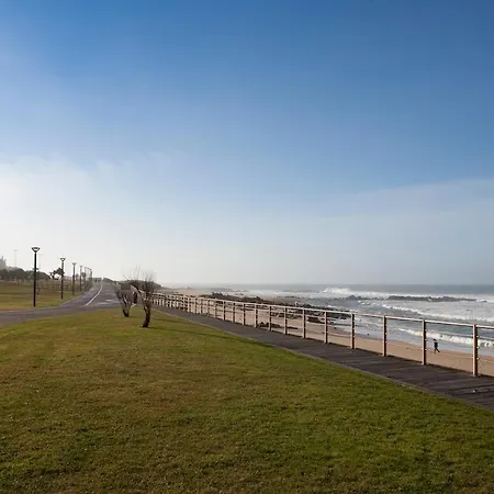 Estudio Monte Da Luz *