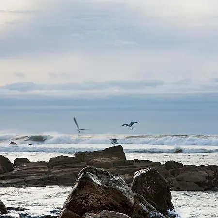 Estudio Monte Da Luz Apartamento Vila Nova de Gaia