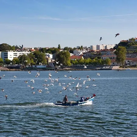 Estudio Monte Da Luz 아파트