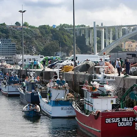 Estudio Monte Da Luz Vila Nova de Gaia