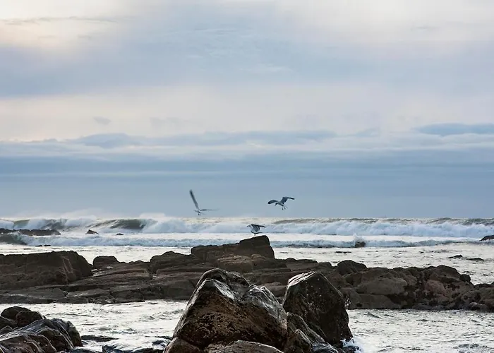 Estudio Monte Da Luz 公寓 加亚新城