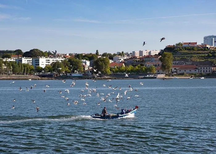 Estudio Monte Da Luz Апартаменты