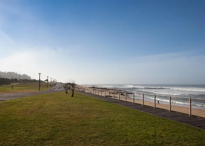 Estudio Monte Da Luz *