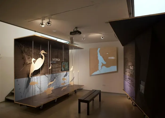 公寓 Estudio Monte Da Luz 加亚新城