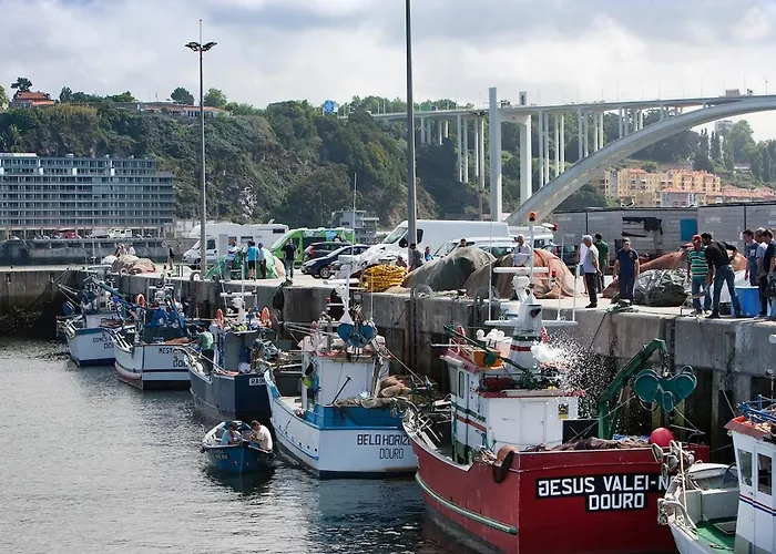 Estudio Monte Da Luz 加亚新城